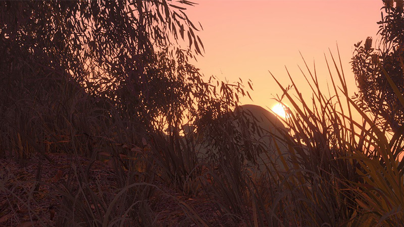 Big walk sunset.