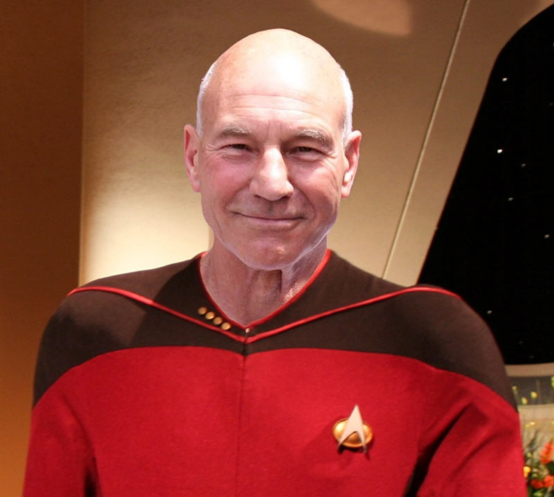 Patrick Stewart collage by